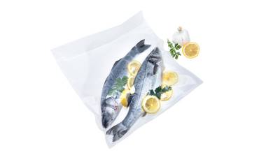 Status commercial vacuum sealer with fish Status commercial vacuum sealer with fish