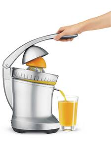 lis na citrusy Sage BCP600