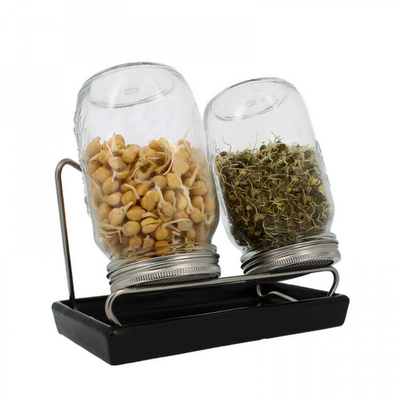 klíčicí sklenice eschenfelder