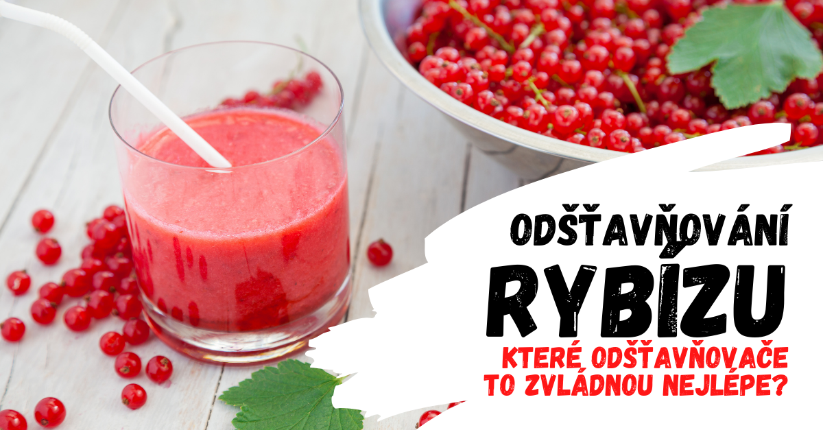Odšťavňování rybízu: Který odšťavňovač je na to nejlepší?