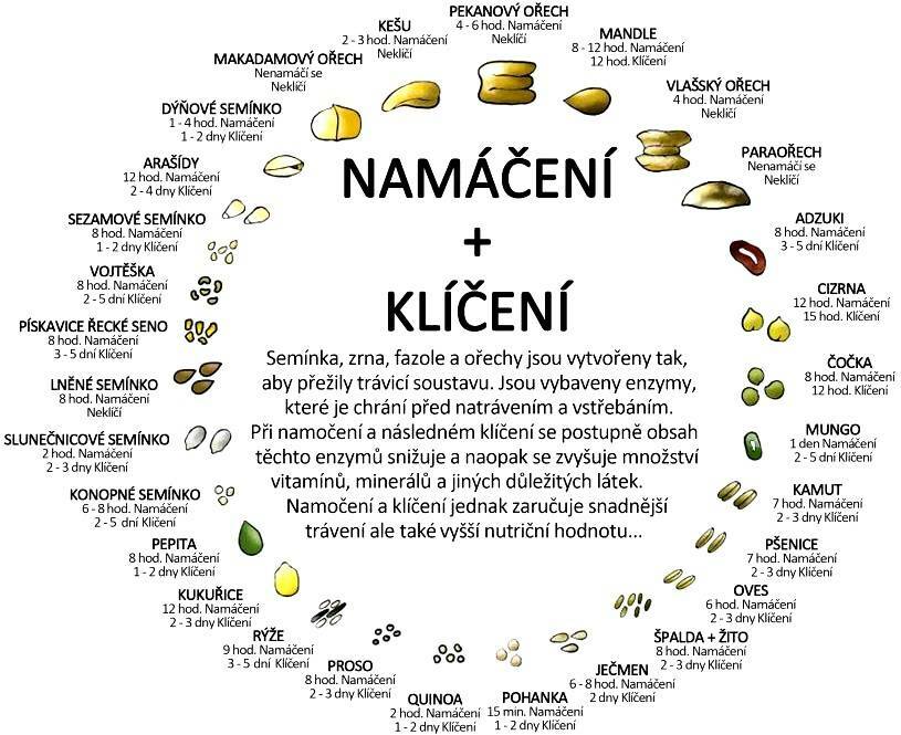 31991-kliceni-semen