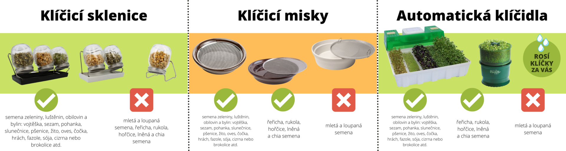 klíčení semen