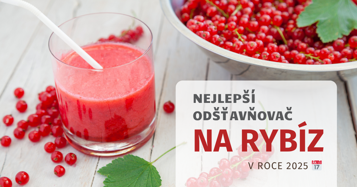 NEJLEPŠÍ ODŠŤAVŇOVAČ NA RYBÍZ V ROCE 2025
