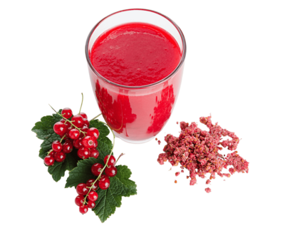 odšťavňovač na rybíz