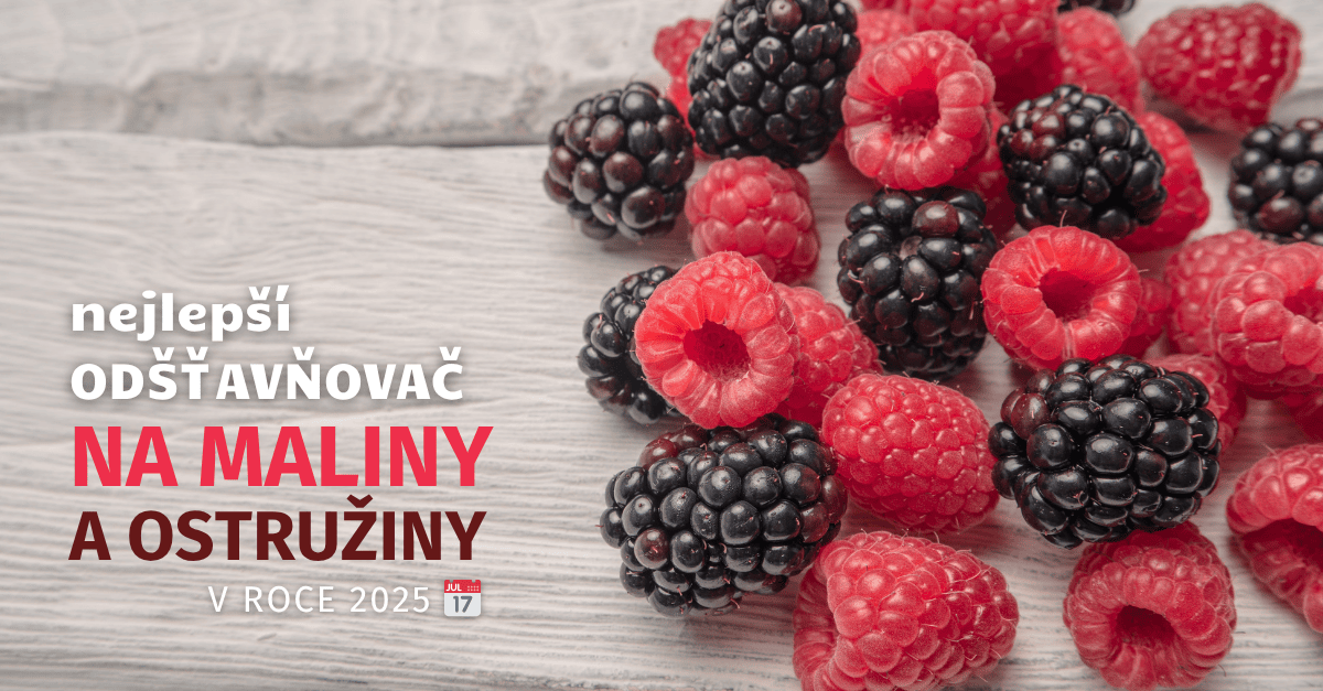 NEJLEPŠÍ ODŠŤAVŇOVAČ NA MALINY A OSTRUŽINY V ROCE 2025