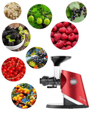 odšťavňovač na rybíz