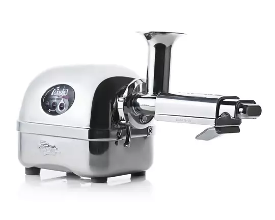 dvouhřídelový odšťavňovač Angel Juicer 8500S