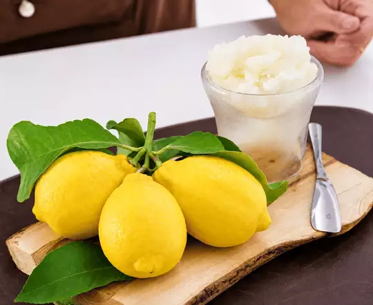 Domácí sorbet ze zmrzlinovače Gelatissimo Exclusive i-Green