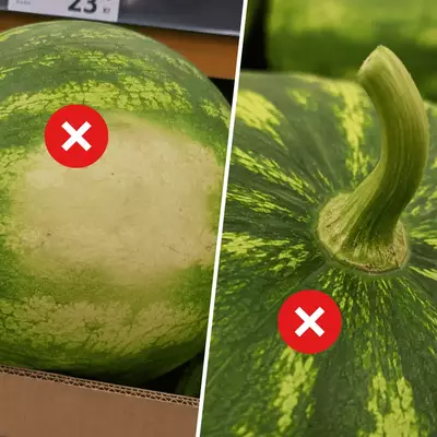jak vybrat sladký meloun