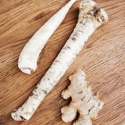 Odšťavňování zázvoru, křene a kořenové petržele