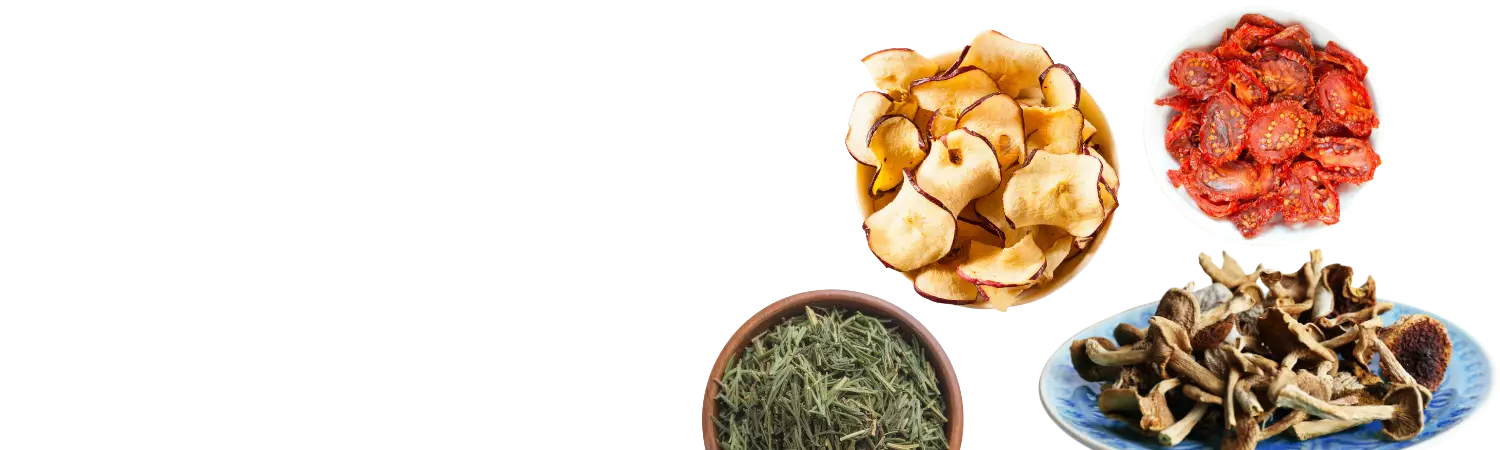 Sušičky potravin