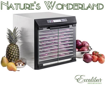 excalibur_exc10el